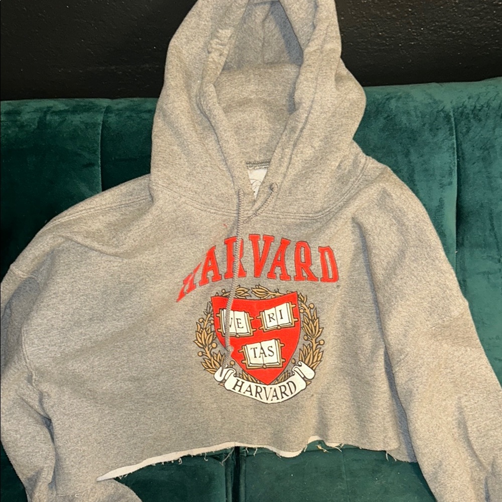 Harvard Gray Cropped Hoodie